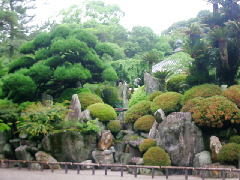 d0017632_1137936.jpg
