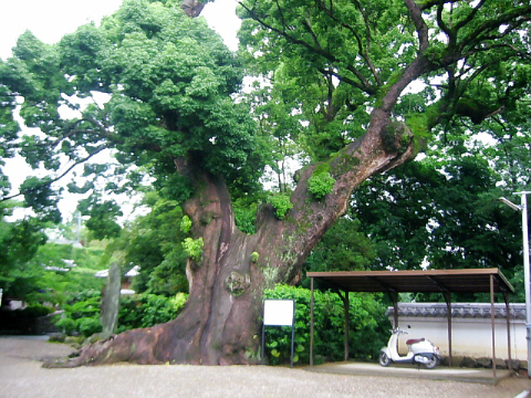d0017632_11431344.jpg