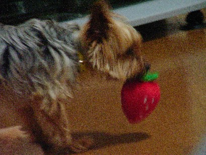 f0002833_20364132.jpg
