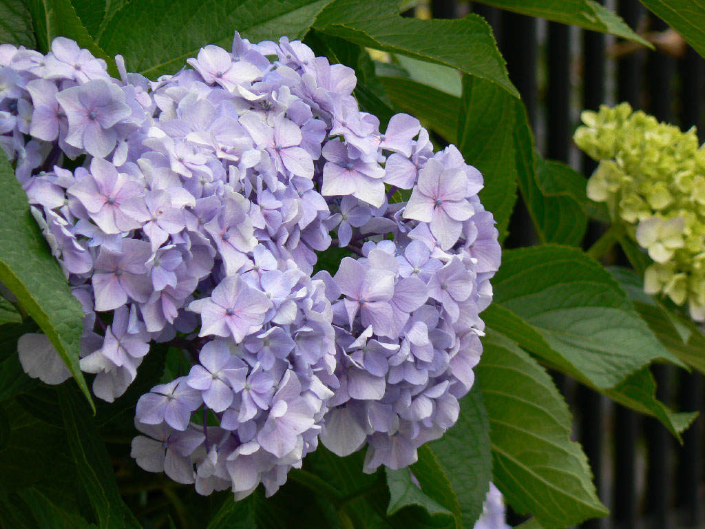 a0034438_9253267.jpg