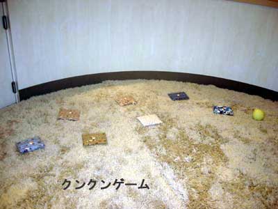 c0033145_16481512.jpg
