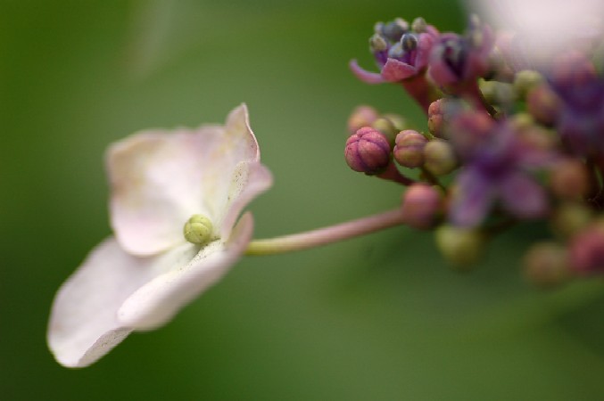 e0009147_21253495.jpg