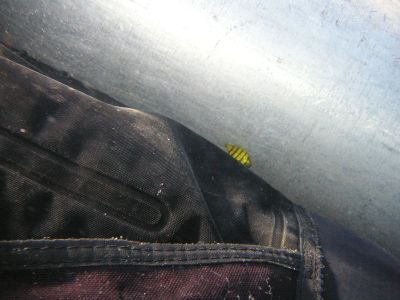 e0027447_1111364.jpg