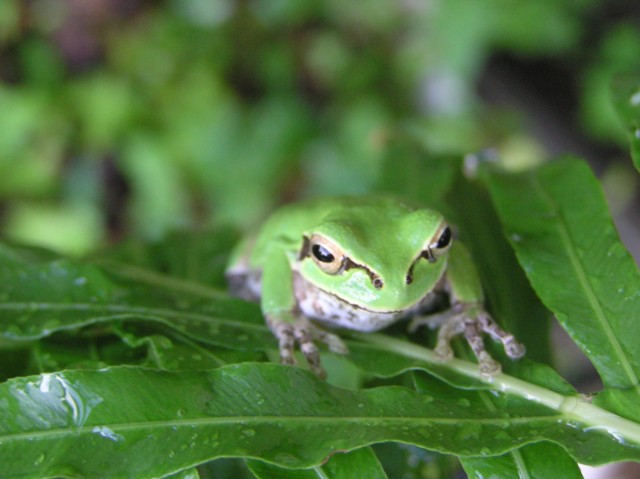 a0052156_2352344.jpg