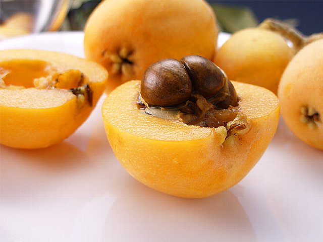 c0050857_8132291.jpg