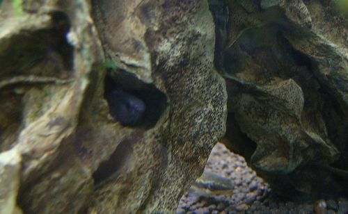 e0072757_22571916.jpg