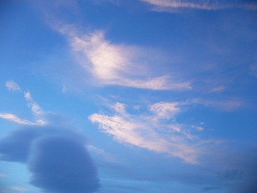 b0015260_16475552.jpg