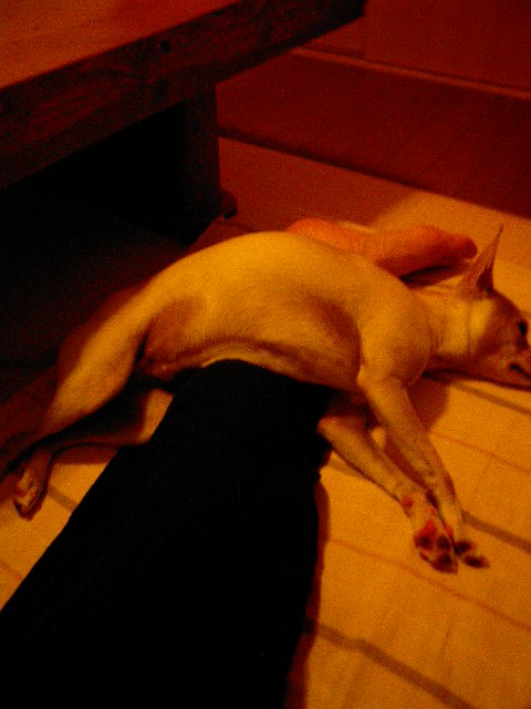 f0046262_08241.jpg