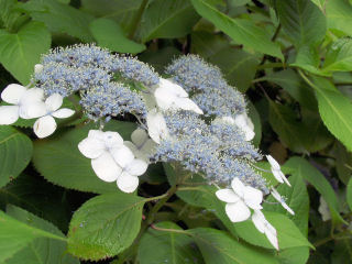 f0107364_23452292.jpg