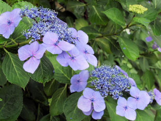 f0107364_2345686.jpg