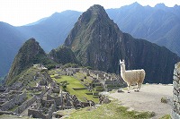 f0059671_2258144.jpg