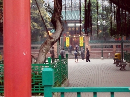 b0092475_2232918.jpg