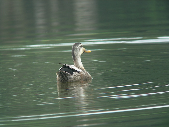 e0015377_2174523.jpg
