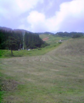 e0024081_1053859.jpg