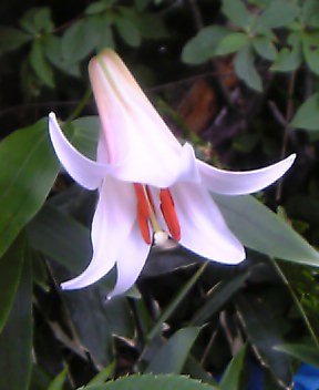 e0024081_18331020.jpg