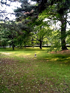 a0079292_13242714.jpg
