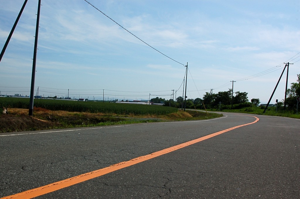 a0062697_036299.jpg