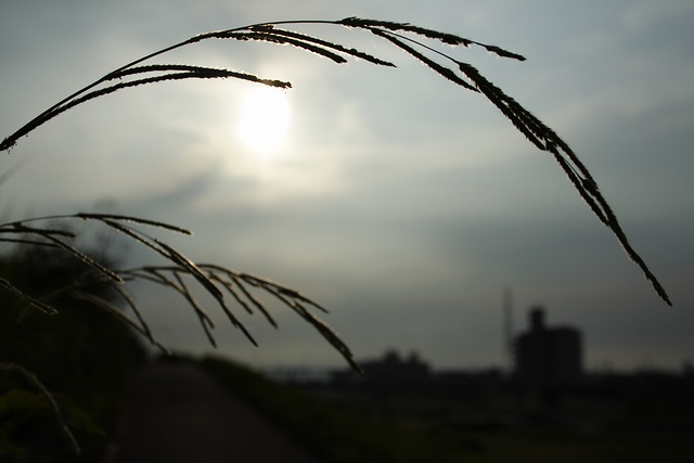 b0084398_12581472.jpg