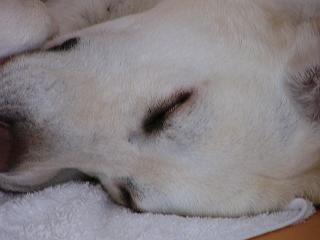 a0039299_15223442.jpg