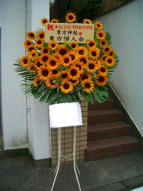 b0042003_857969.jpg