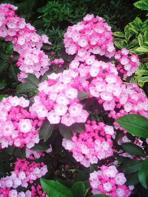 f0079723_18144441.jpg