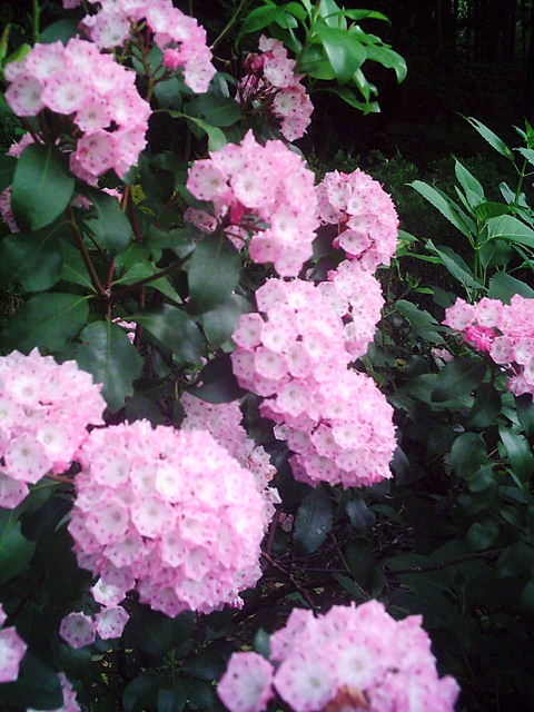 f0079723_18183546.jpg