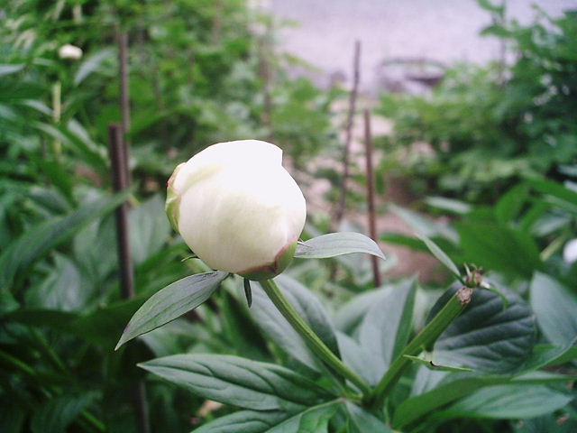 f0079723_19183392.jpg