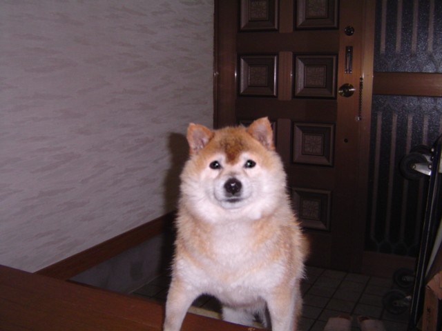f0012924_3272590.jpg
