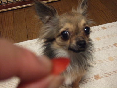 e0088654_00782.jpg
