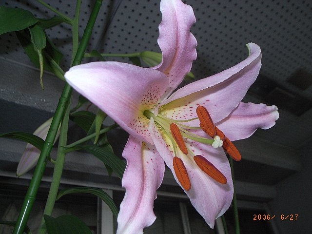 c0050857_02569.jpg