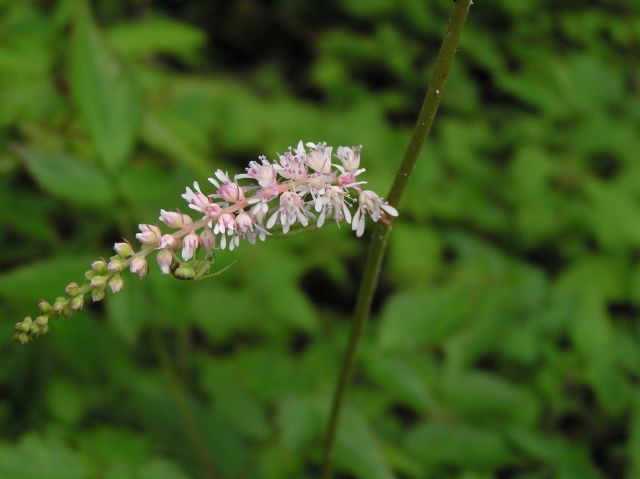 c0042869_9471825.jpg