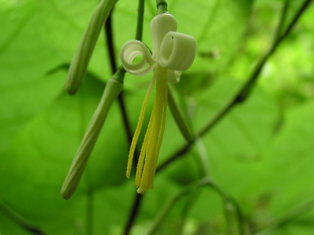 c0042869_948127.jpg