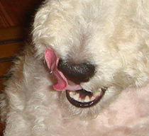 b0091373_1194910.jpg