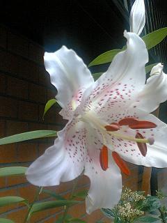 c0026178_2352773.jpg