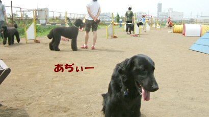 c0050400_17263273.jpg