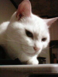 f0032403_235837.jpg