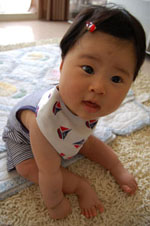 c0042319_1955978.jpg