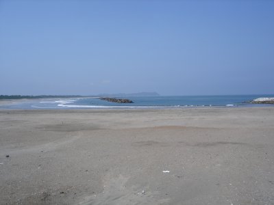 e0003819_3444852.jpg
