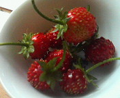 d0000820_18384429.jpg