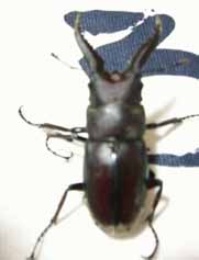 e0083820_23552717.jpg