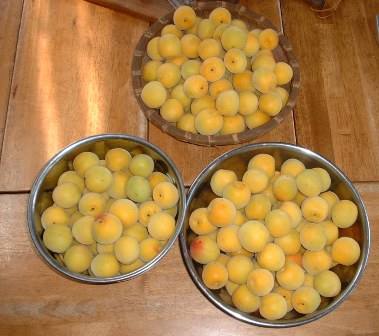 e0006321_1943654.jpg