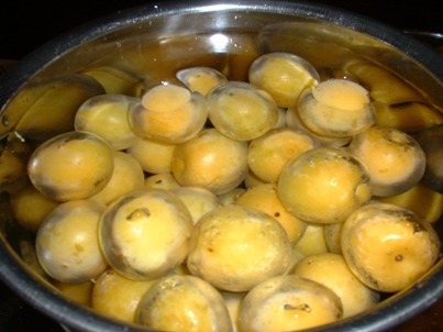 e0006321_22372588.jpg