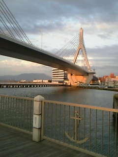 f0083726_10341338.jpg