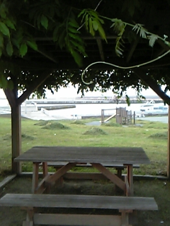 f0083726_1239354.jpg