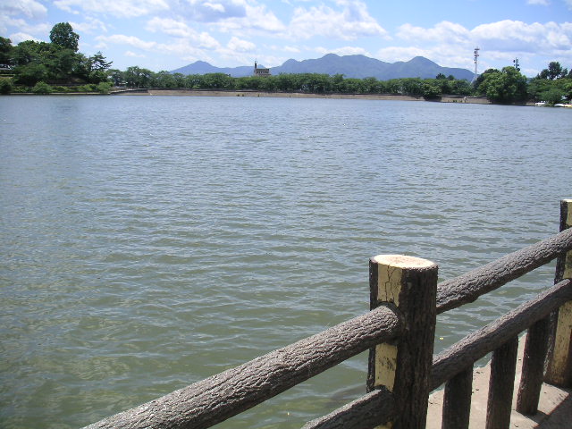 a0020929_1539386.jpg