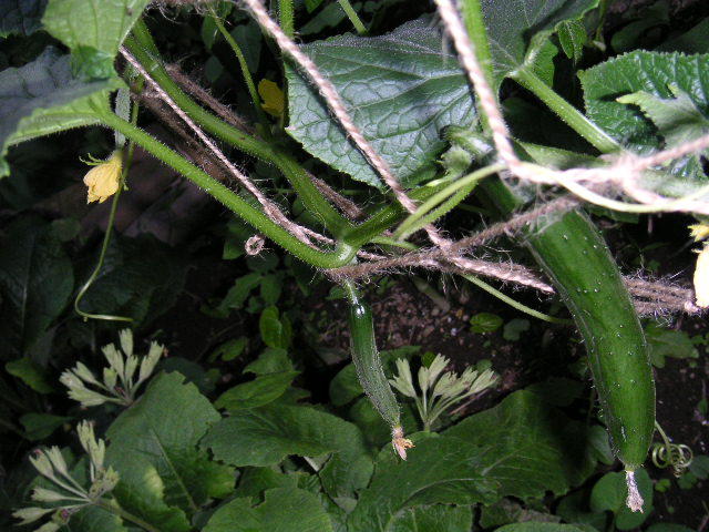 a0020929_19205290.jpg