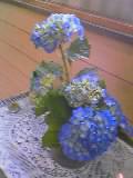 a0020929_19322151.jpg