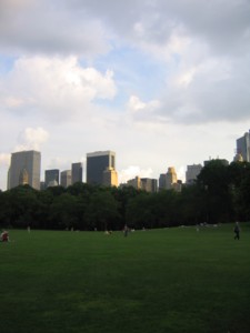 a0071739_1324472.jpg