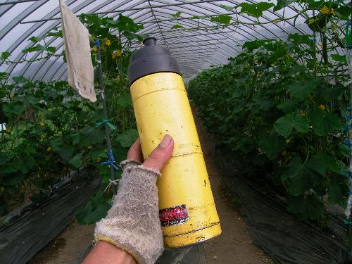 c0072843_20121423.jpg