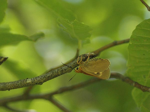 c0045352_23452333.jpg